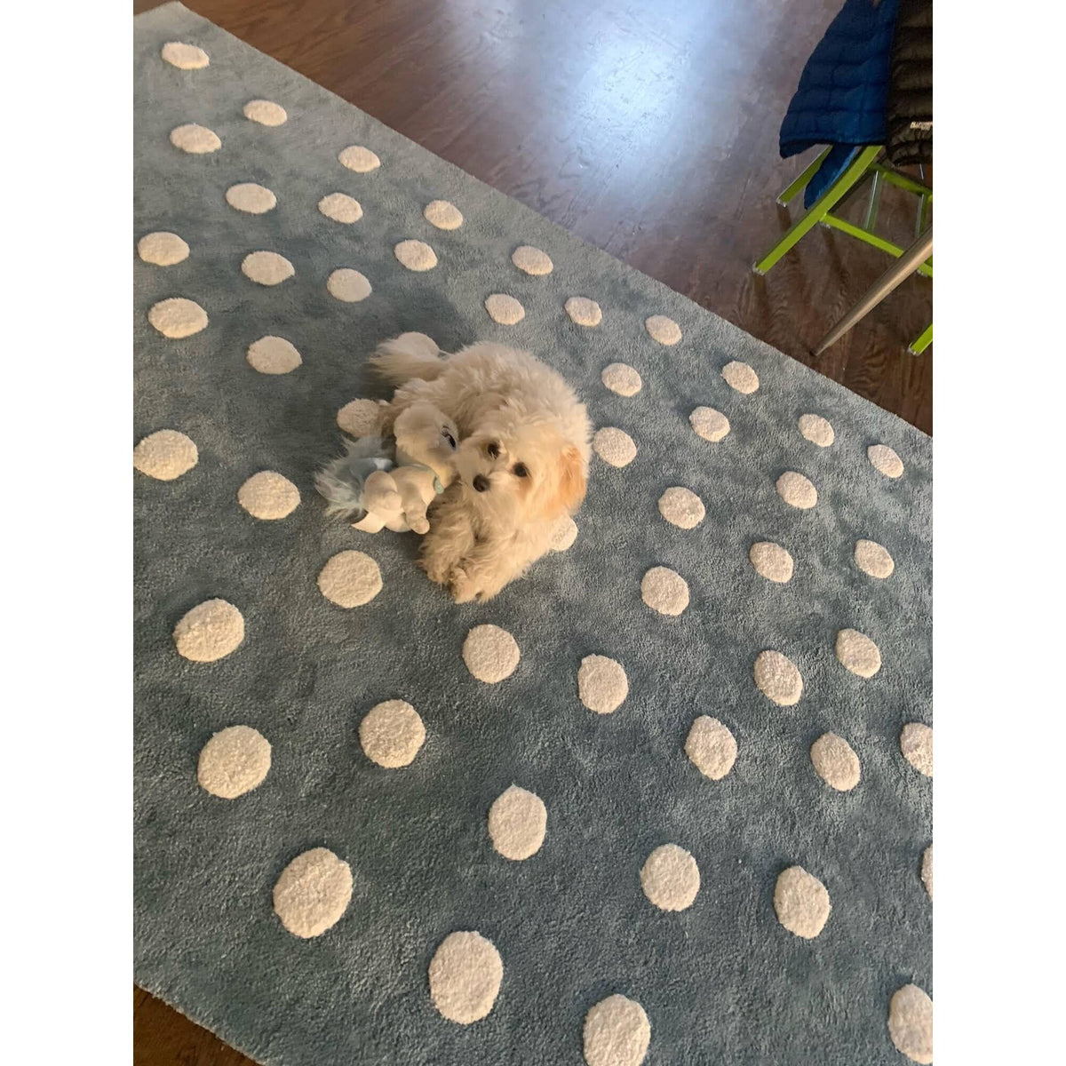 Polka Dot Cotton Blue children&#39;s Organic Weave Shop 